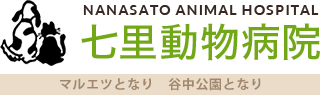七里動物病院　VCAJapan動物病院グループ