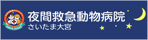バナー画像_夜間救急動物病院さいたま大宮