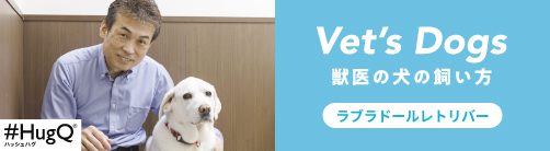 バナー画像_獣医の犬の飼い方